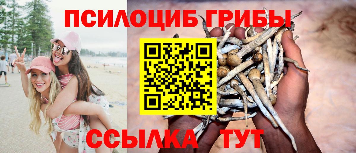 Мирный  Галлюциногенные грибы GOLDEN TEACHER  Вход с VPN 