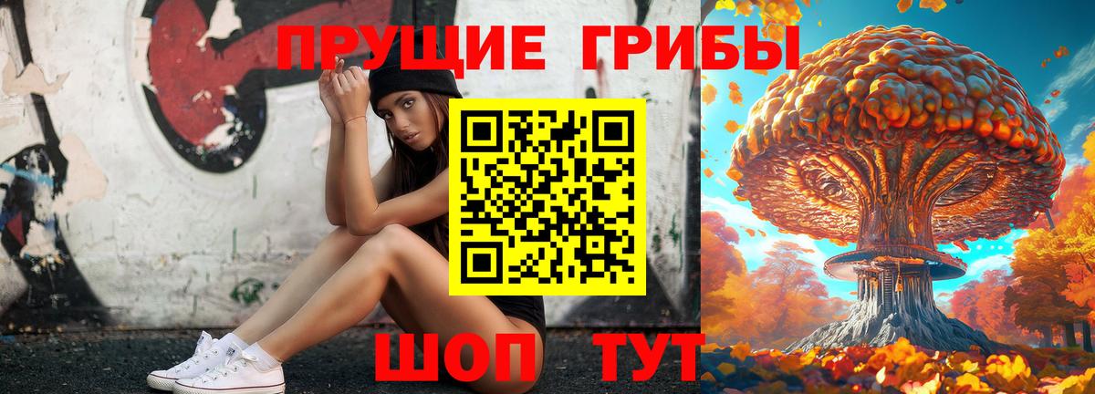 Псилоцибиновые грибы Psilocybe Мирный